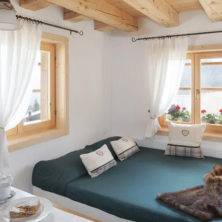 酒店 Diffuso Sauris In Sauris Di Sopra 的里雅斯特